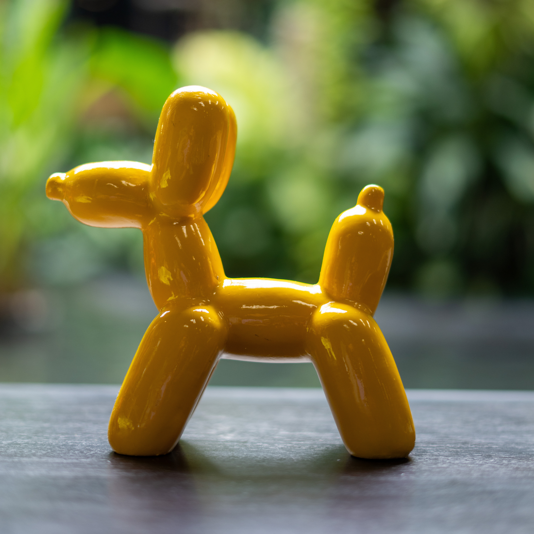 Balloon Dog