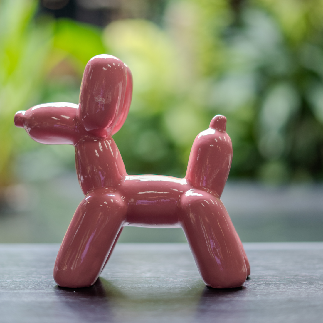 Balloon Dog